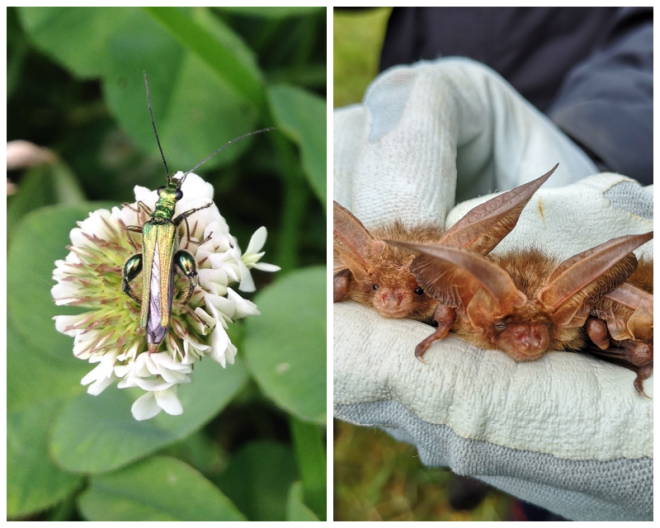 Review Practical Ecology Ltd image 104980