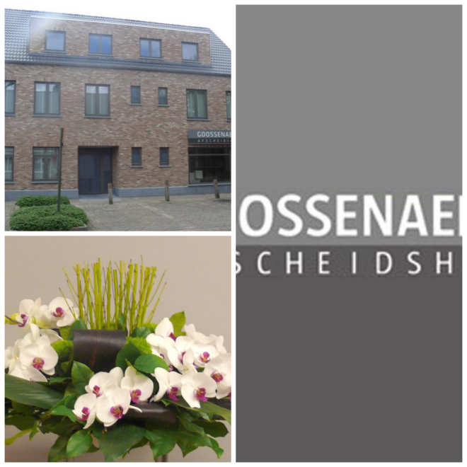 Review Goossenaerts - Janssen bvba image 44672