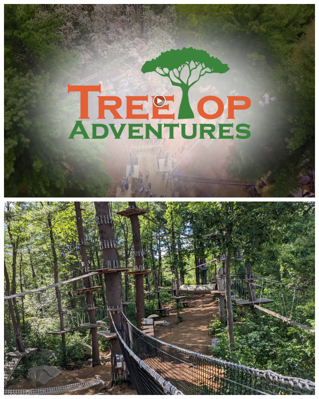 Review Treetop Adventures image 122612