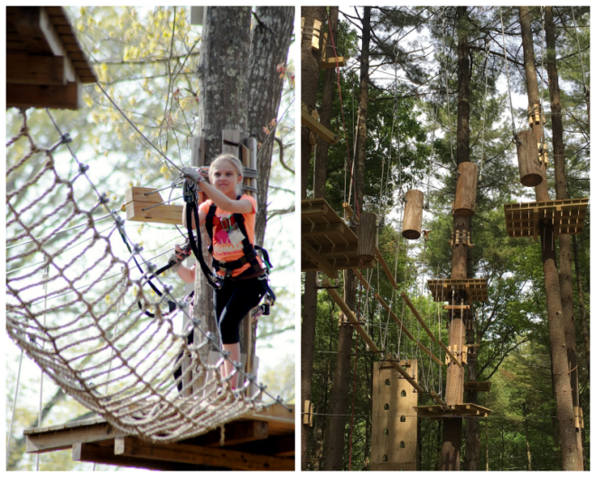 Review Treetop Adventures image 122616