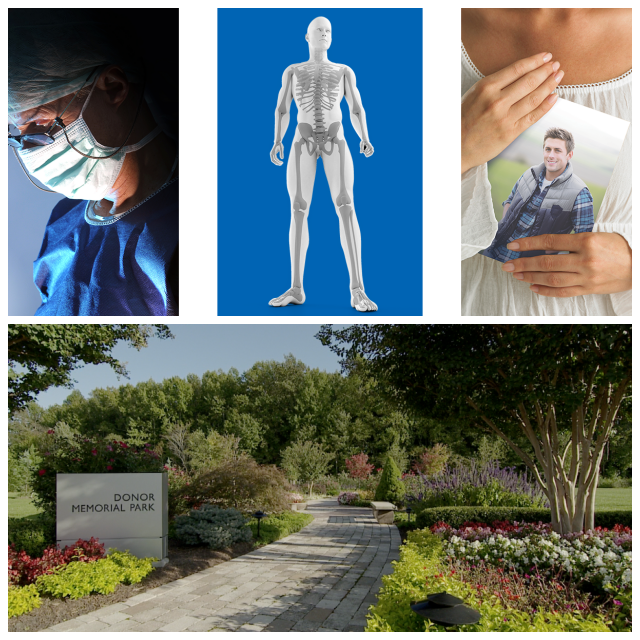 Review Lifenet health image 240345