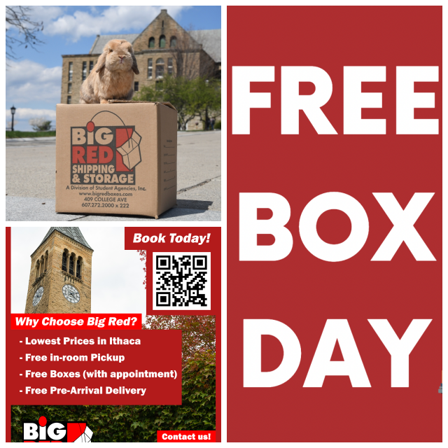 Review Big Red Shipping and Storage image 125770