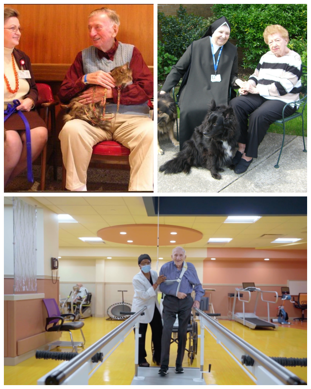 Review Ozanam Hall of Queens Nursing Home image 106759