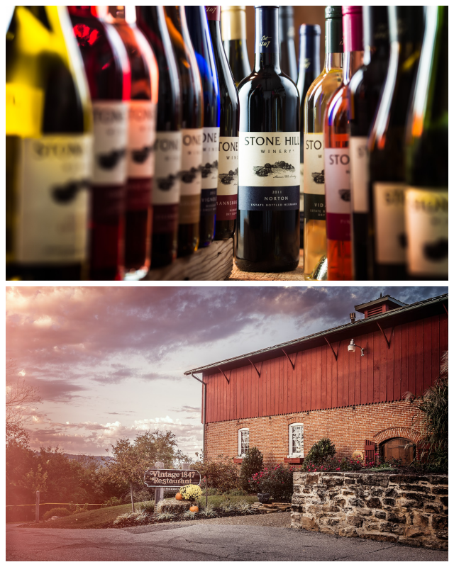 Review Stone Hill Winery image 98552