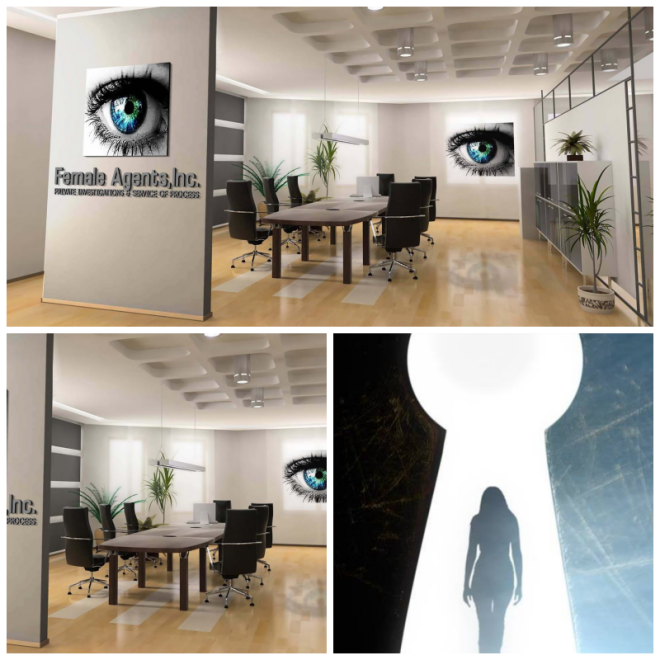Review Female agents, inc image 283741