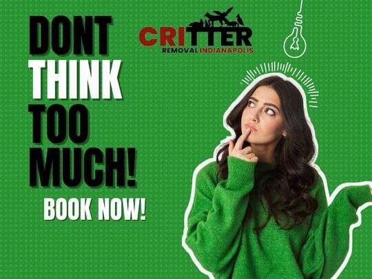 Review Critter Removal image 356971
