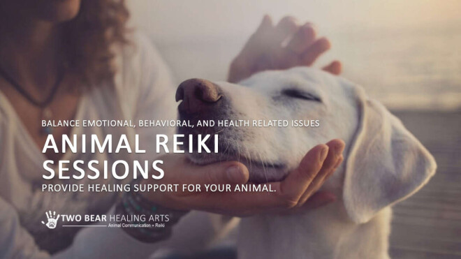Review Two Bear Healing Arts | Animal Communication + Reiki image 358020