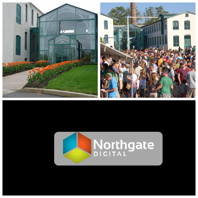 Review Northgate Digital image 37265