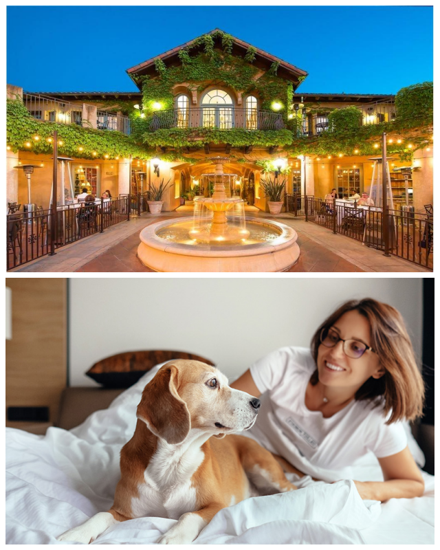 Review Hotel Los Gatos and Spa image 38186