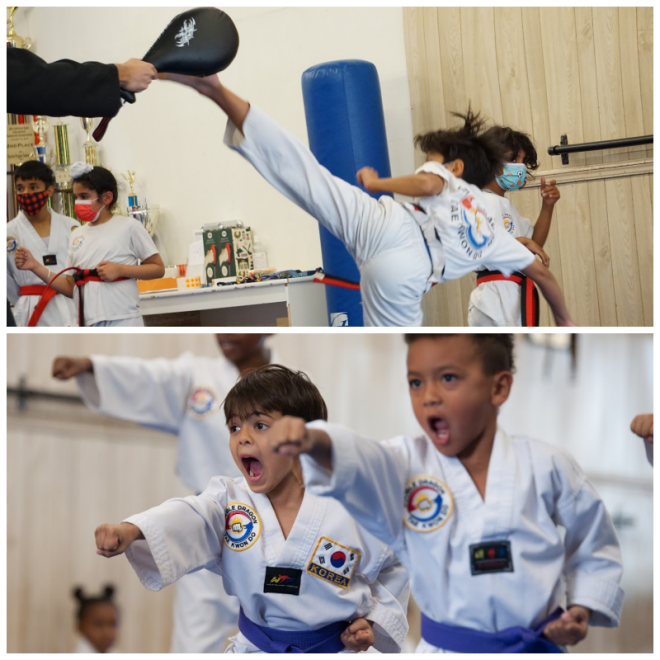 Review Double dragon tae kwon do image 272385