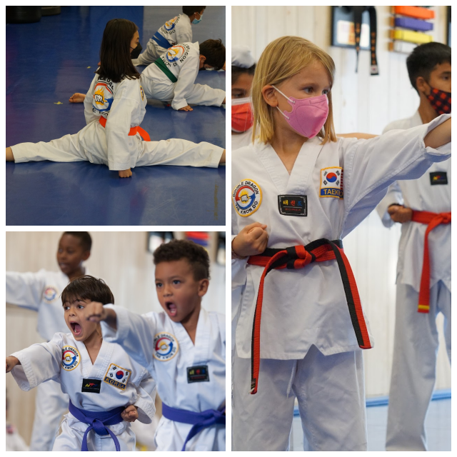 Review Double dragon tae kwon do image 272387