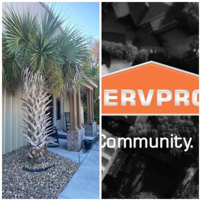 Review Servpro of carteret and east onslow county image 352545