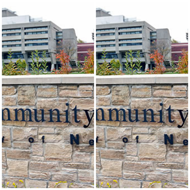 Review Finger lakes community college image 241473