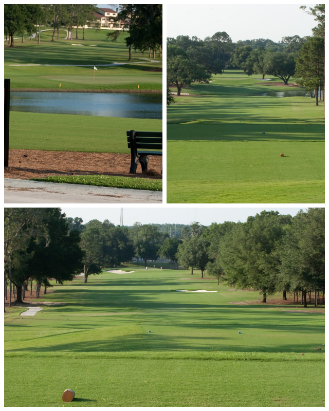 Review Ocala golf club image 330399