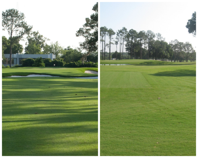 Review Ocala golf club image 330400