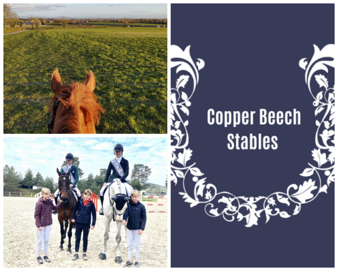 Review Copper Beech Stables image 137198