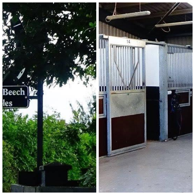 Review Copper Beech Stables image 137199