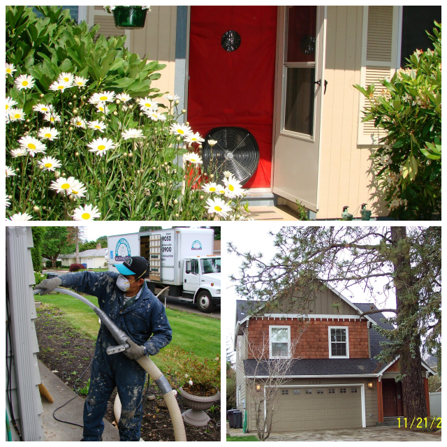 Review Total Comfort Weatherization image 149018