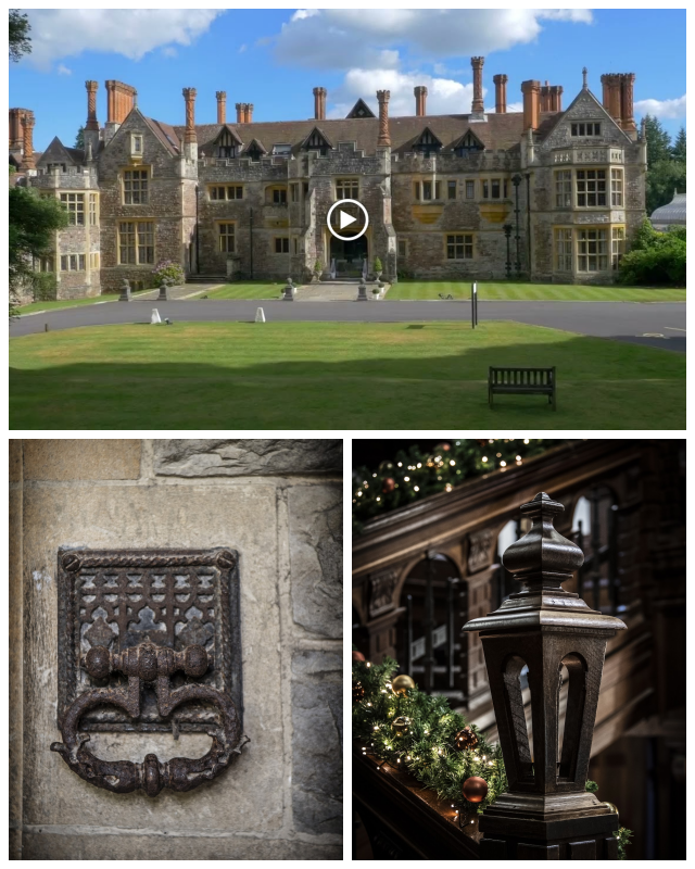 Review Rhinefield House Hotel image 116600