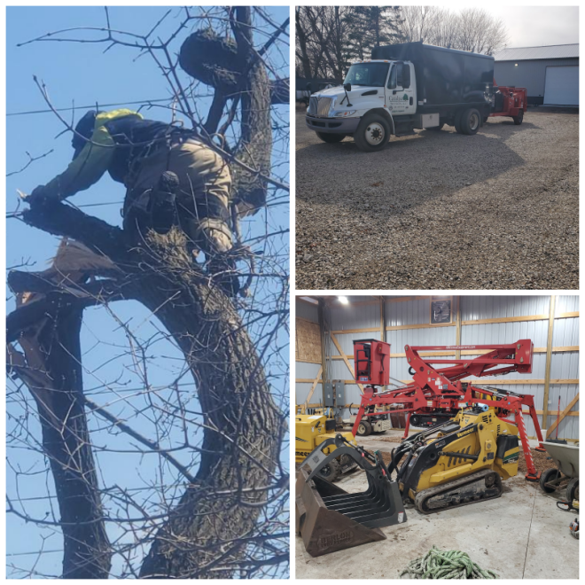 Review Catalpa Tree Service - Mequon, WI image 175664