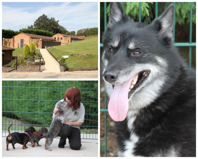 Review Highcroft Luxury Kennels and Cattery image 28299