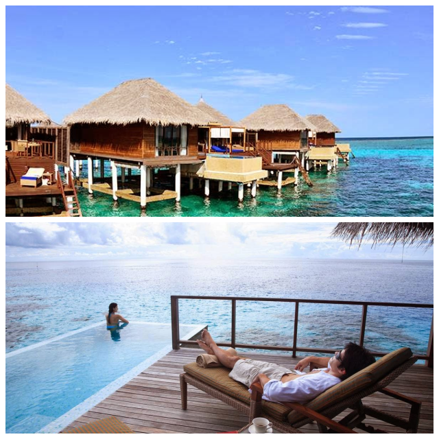 Review Coco Palm Bodu Hithi (SLH) image 115818