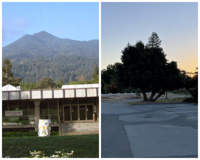 Review College of marin image 240955