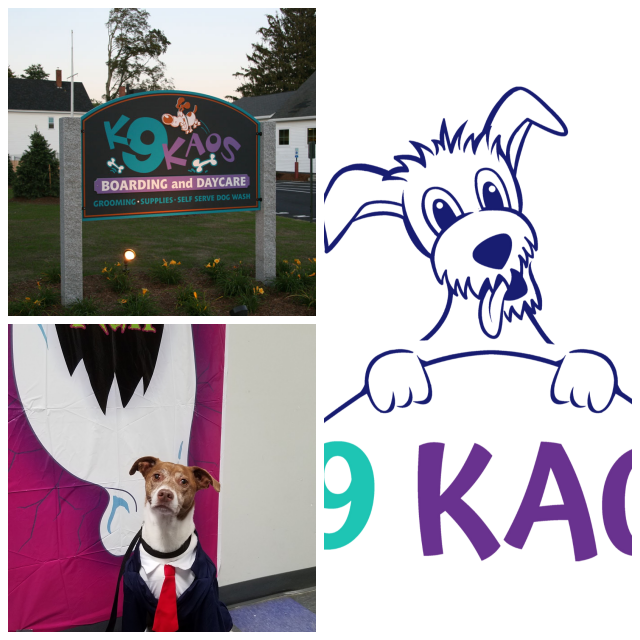 Review K9 kaos image 306584