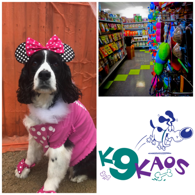 Review K9 kaos image 306585
