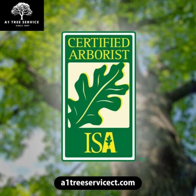 Review A1 Tree Service LLC image 358899