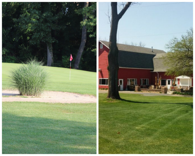 Review Ridgeview Golf Course image 18771