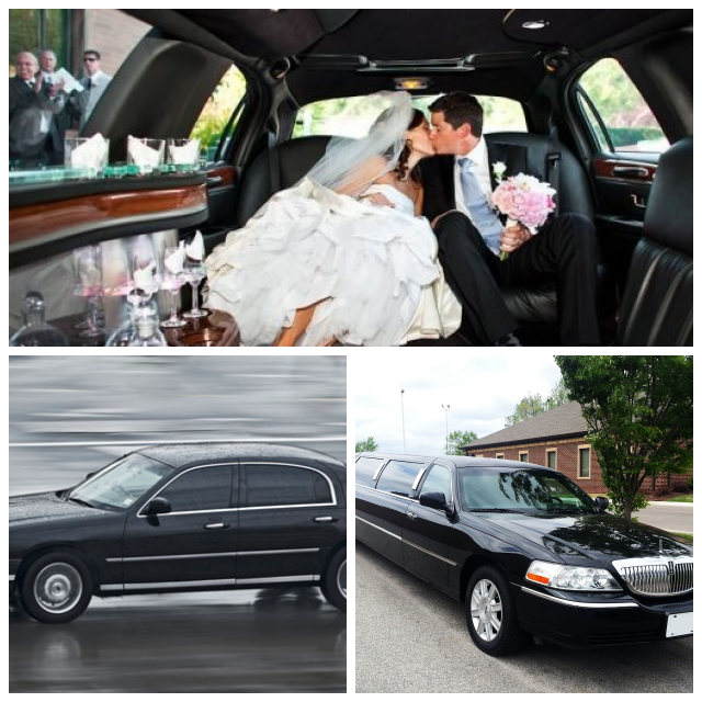 Review tigerlimousine Service image 228649