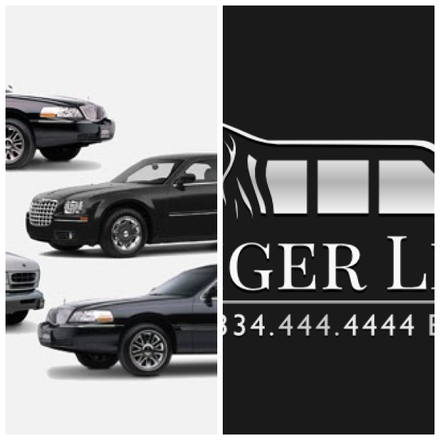 Review tigerlimousine Service image 228651