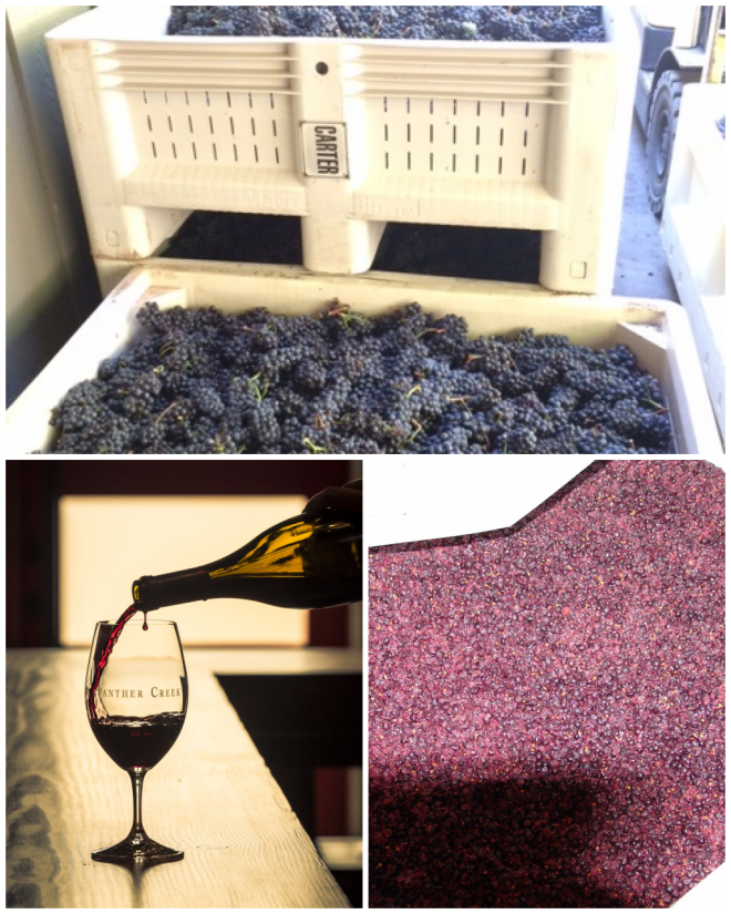 Review Panther Creek Cellars image 5925