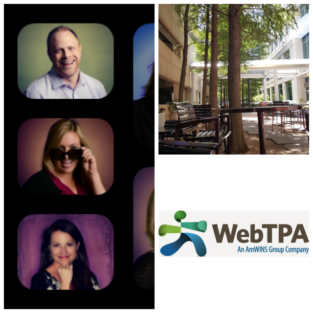 Review Webtpa image 244157