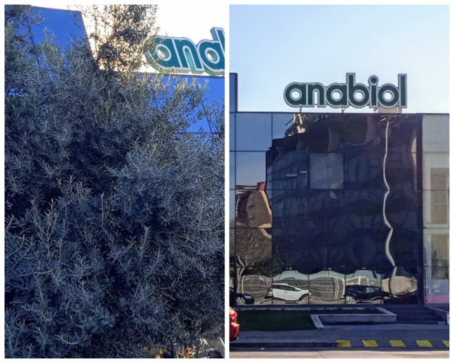 Review Anabiol Laboratories image 210353