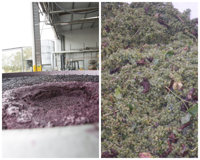 Review McLaren Vintners image 173315