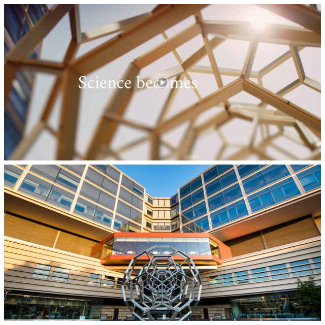 Review Stanford Medical Center image 35773