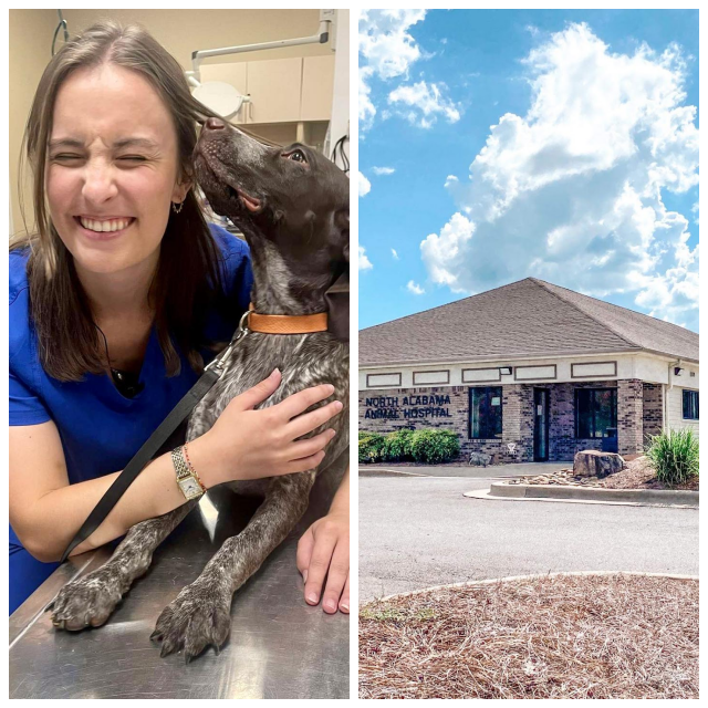 Review North alabama animal hospital image 328858