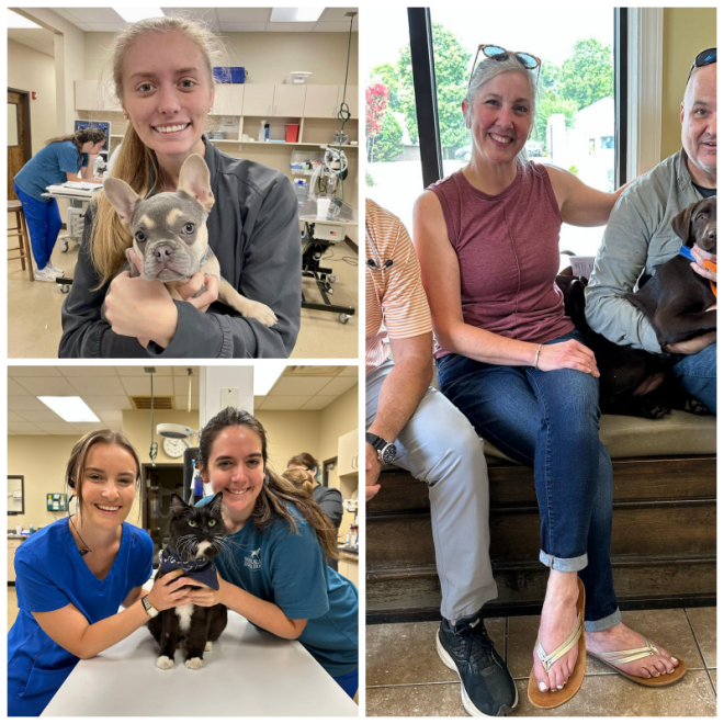 Review North alabama animal hospital image 328862