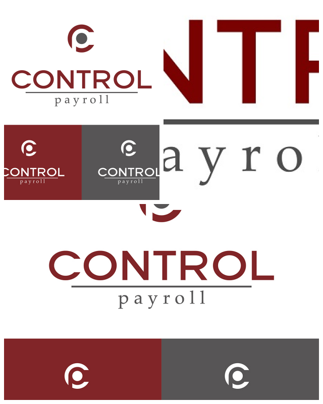 Review Control Payroll image 36809