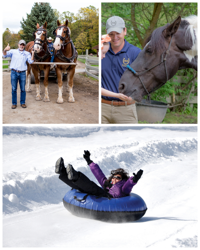 Review Rocking Horse Ranch Resort image 39869