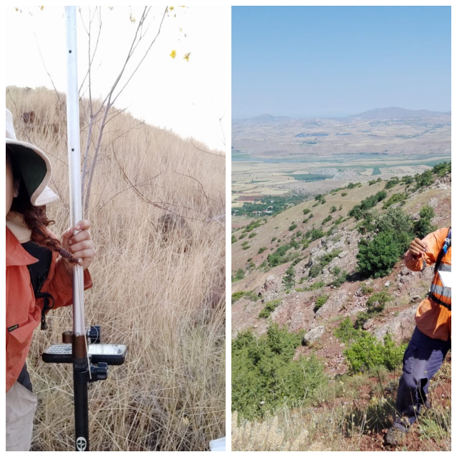 Review Atlas Geophysics image 35711