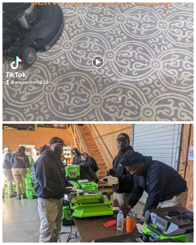 Review Servpro of mobile county image 352647