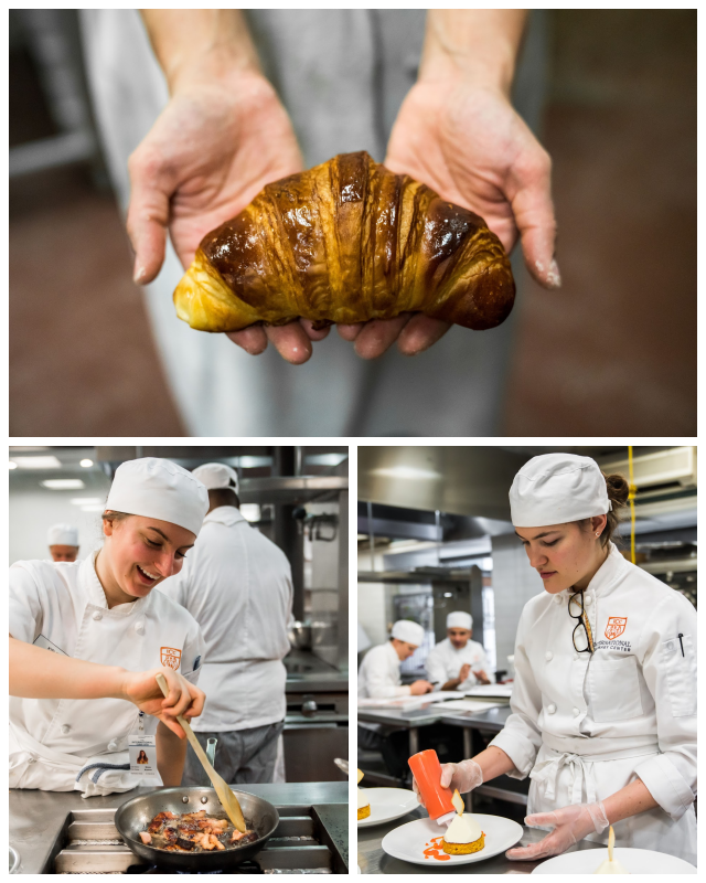 Review The french culinary institute image 260511