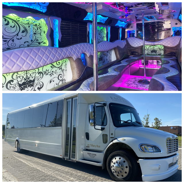 Review Emperor Limousine. image 234847