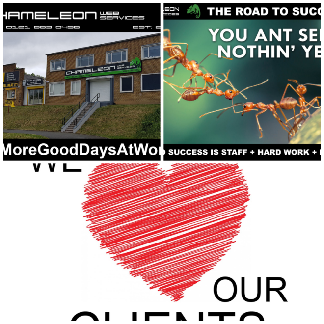 Review Chameleon Web Services image 114045