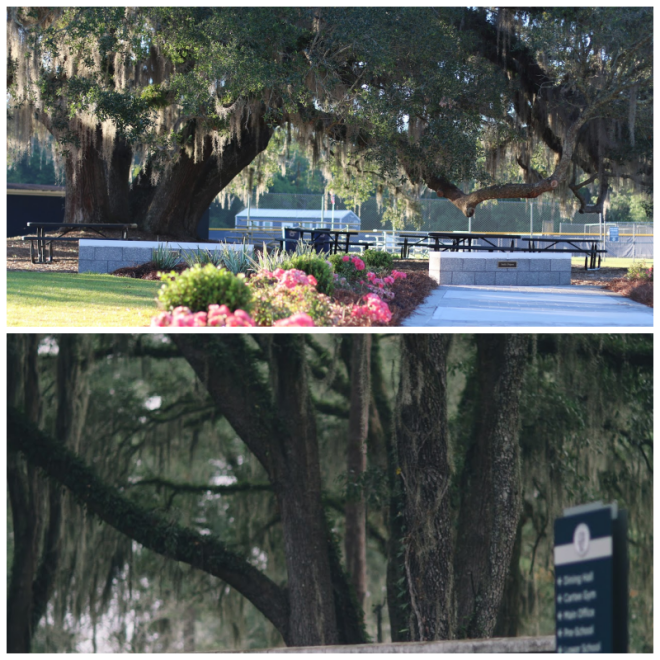 Review Maclay school image 249241