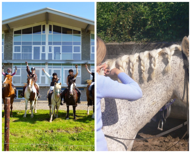 Review Royal Meath Equestrian Centre image 152017