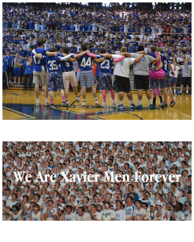 Review St. xavier high school image 245779